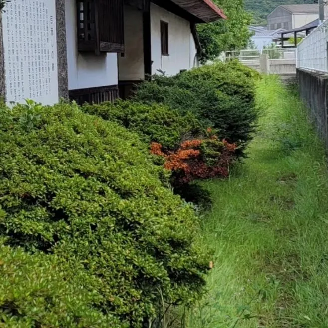 高松合宿のおまけ